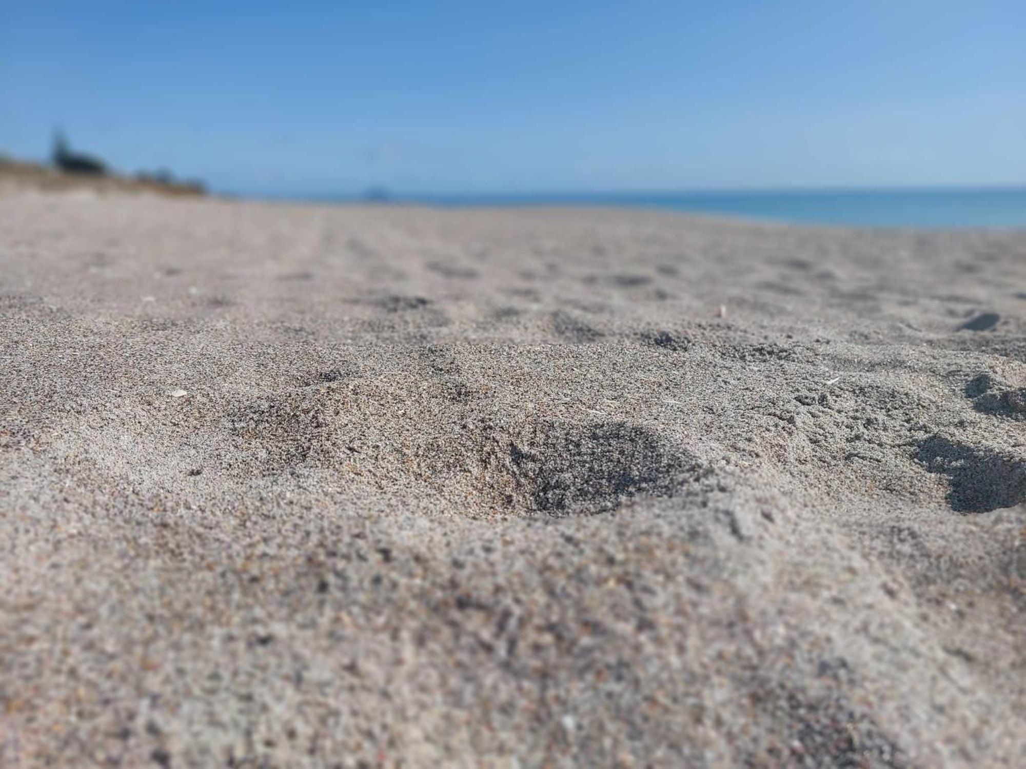 Sandbar Views Beachside Retreat - 100M From The Beach & Pets Welcome Papamoa Exterior foto